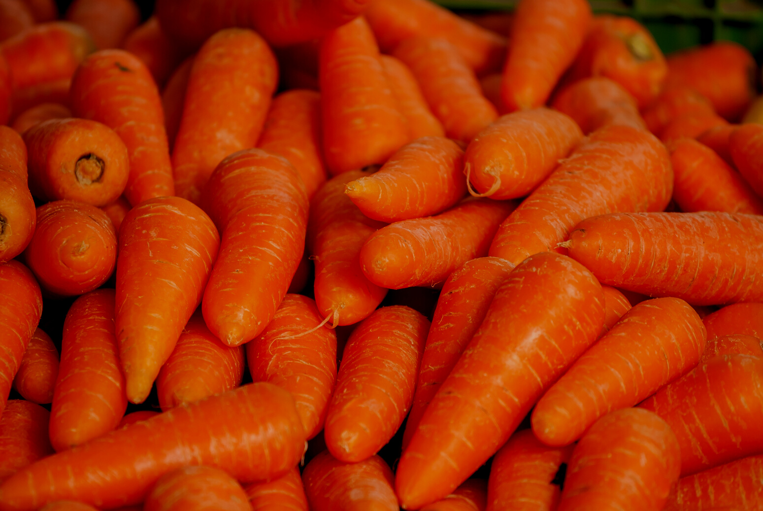 Pile of Raw Carrots